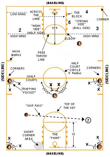 Basketball Court Dimensions Court Diagrams Basics Coaching Tips