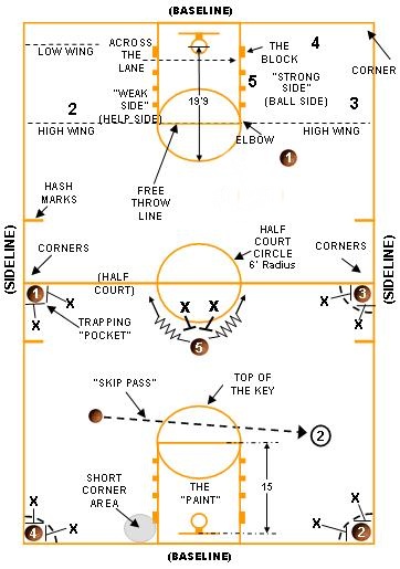 Basketball Court Dimensions & Lines Guide